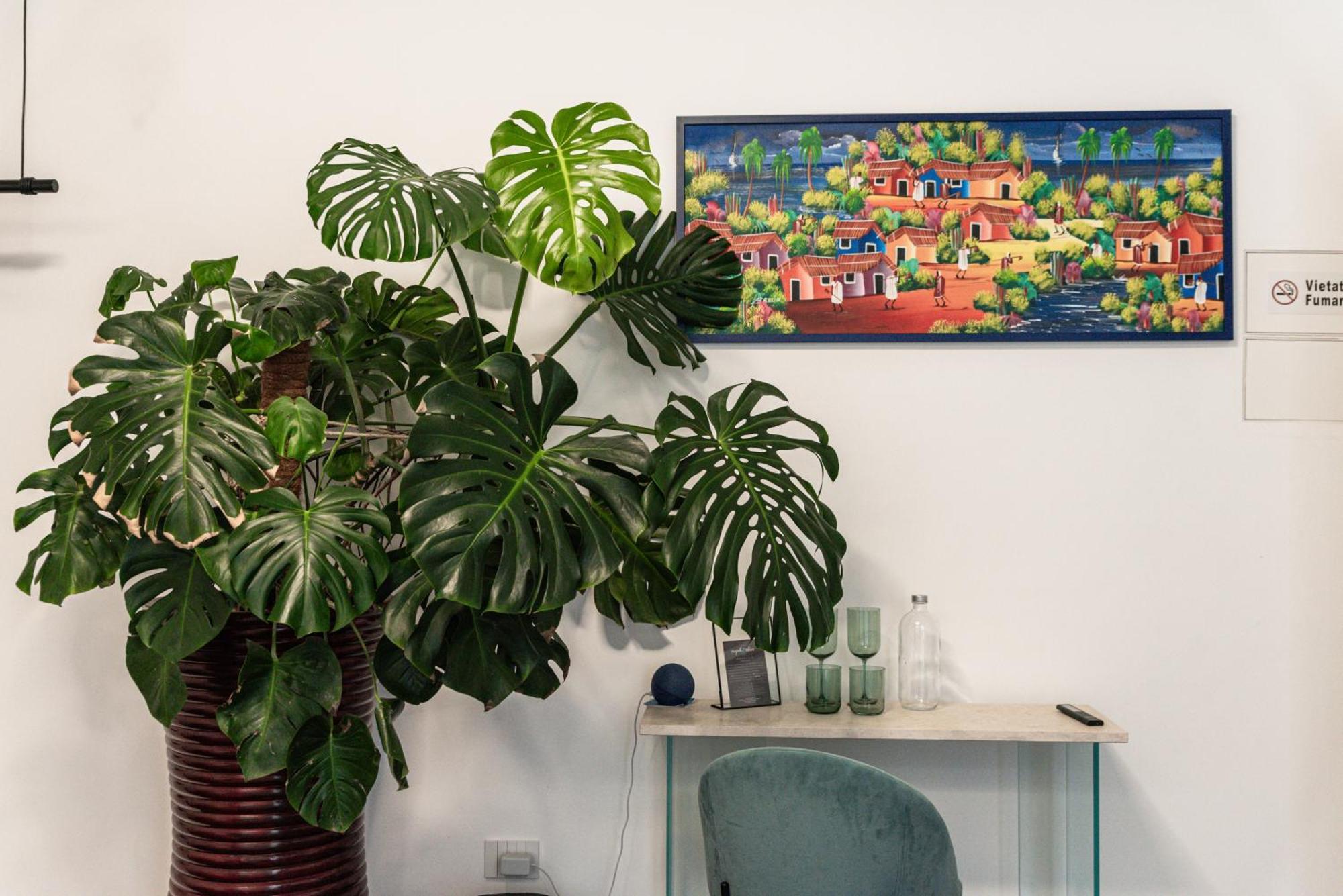 Luxury B&B Euphorbia Acireale Εξωτερικό φωτογραφία