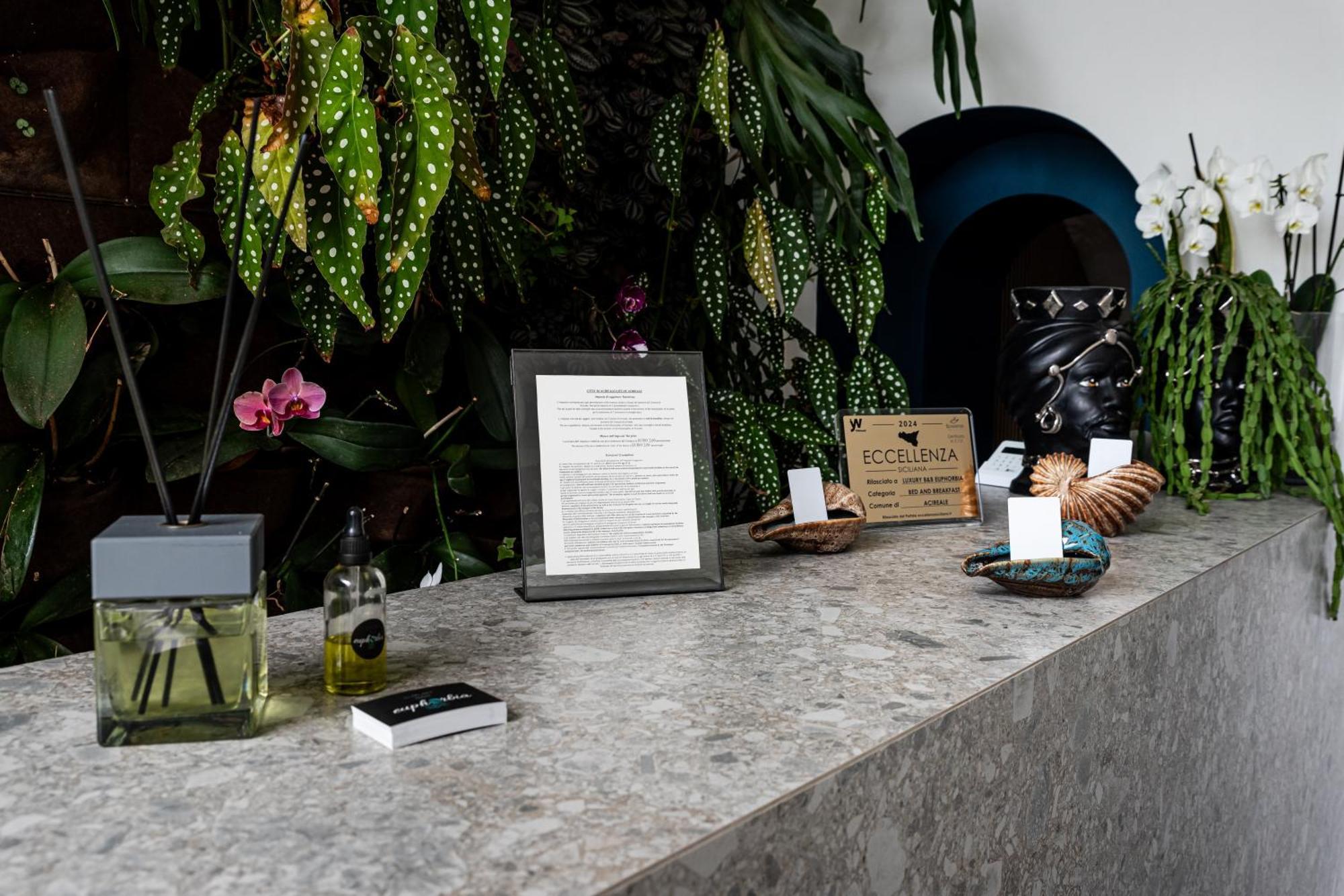Luxury B&B Euphorbia Acireale Εξωτερικό φωτογραφία